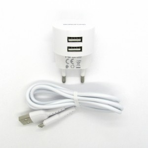 СЗУ Borofone + кабель micro-USB BA23A (white)