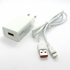 СЗУ блочек Denmen DC01L + кабель Lightning (white)