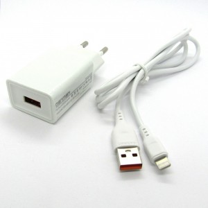 СЗУ блочек Denmen DC01L + кабель Lightning (white)