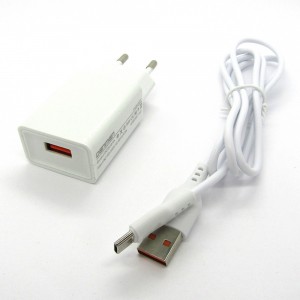 СЗУ блочек Denmen DC01T+ кабель Type-C (white)