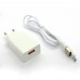 СЗУ блочек Denmen DC01V micro-USB (white)